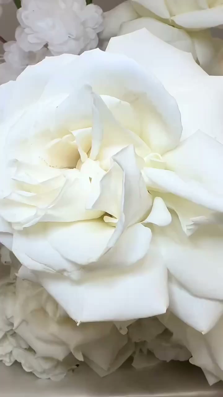 Event highlight video thumbnail